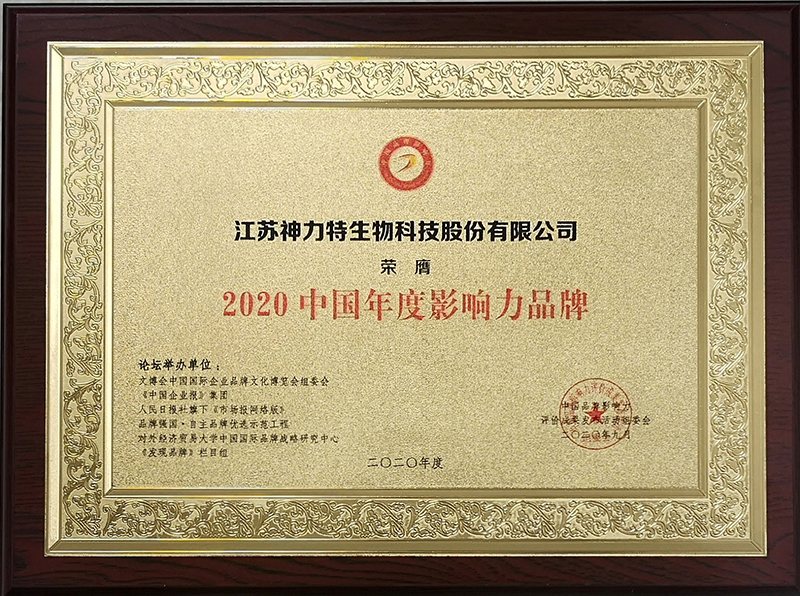 6、2020中國(guó)年度影響力品牌.jpg